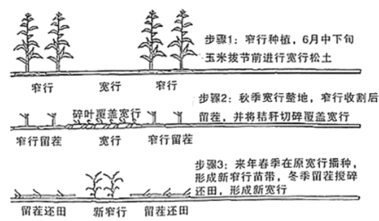 园艺耕作制度的内容(园艺耕作制度的内容是什么)