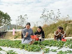 河源园艺场案件(河源市陈建业陈浩)