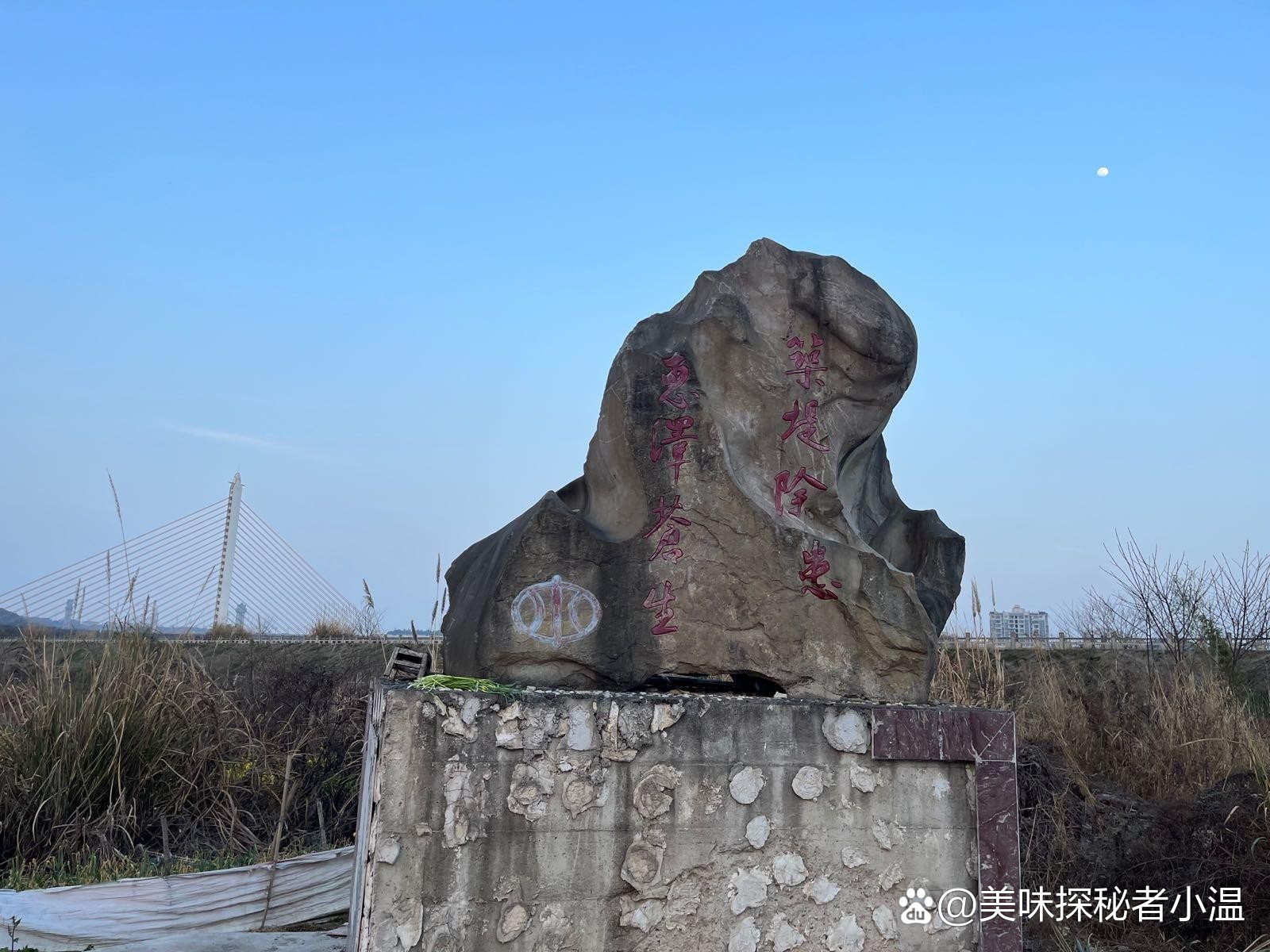 绵阳园艺山科学公园(绵阳园艺山科学公园开放时间)