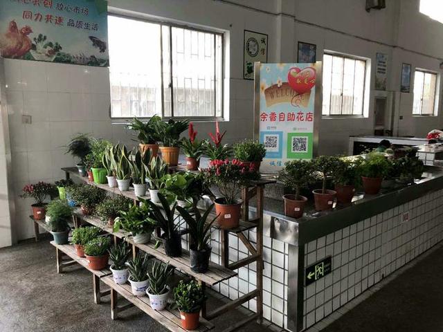 开花店园艺种植(开花卉店一般要投资多少钱?)