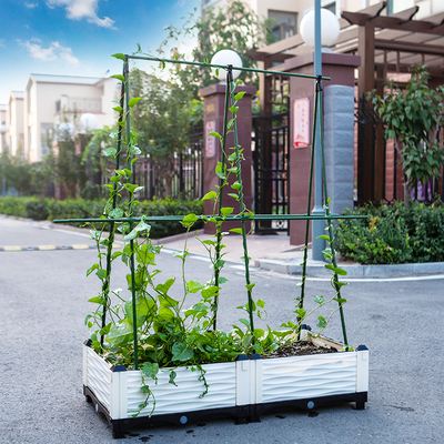 永福青菜地园艺(福清蔬菜种植基地)