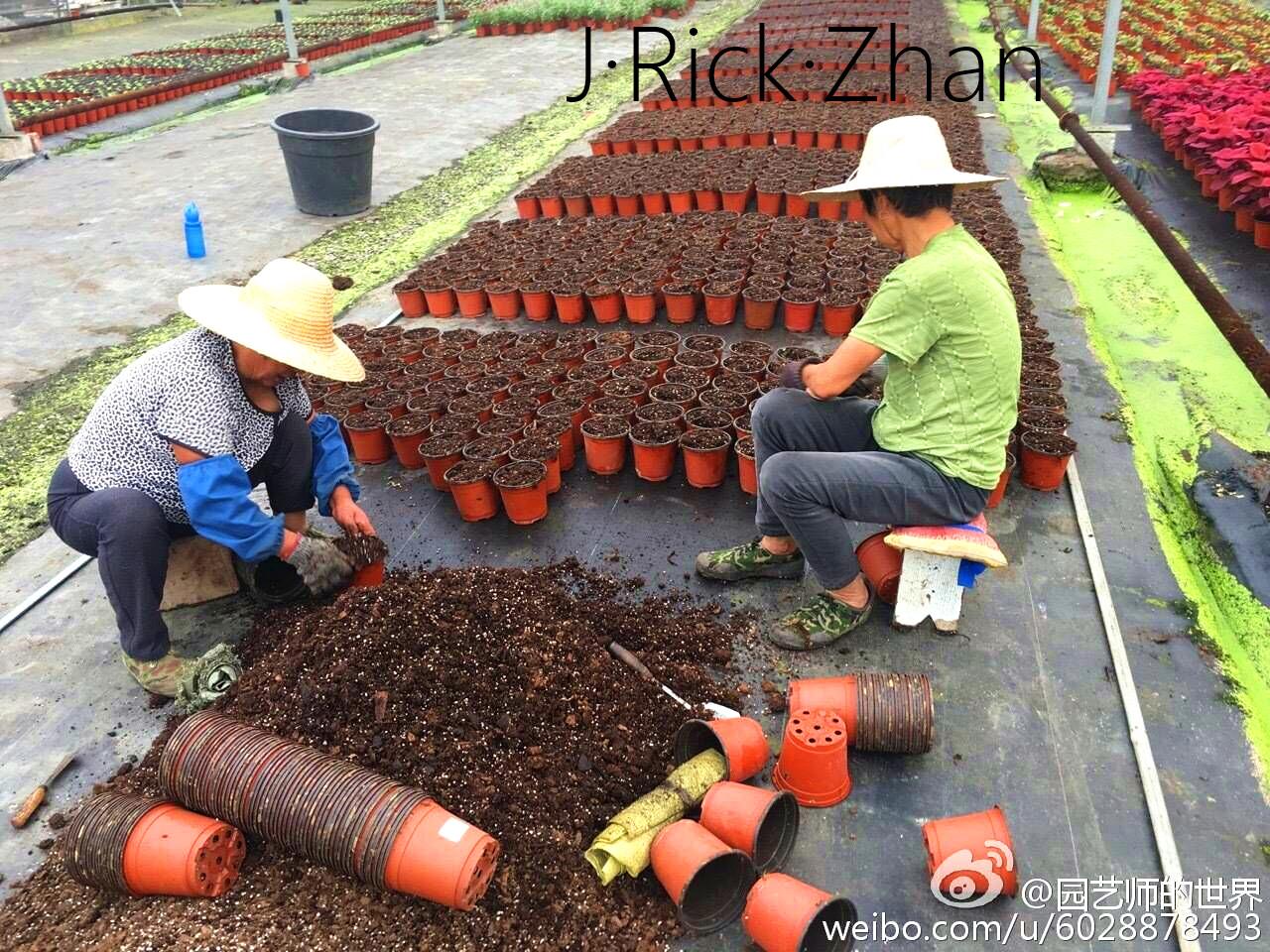 成都苗圃园艺师工资(社会上怎么考园艺师证)