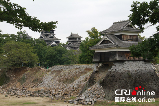 日本熊本园艺怎样样(熊本食堂日本料理怎么样)