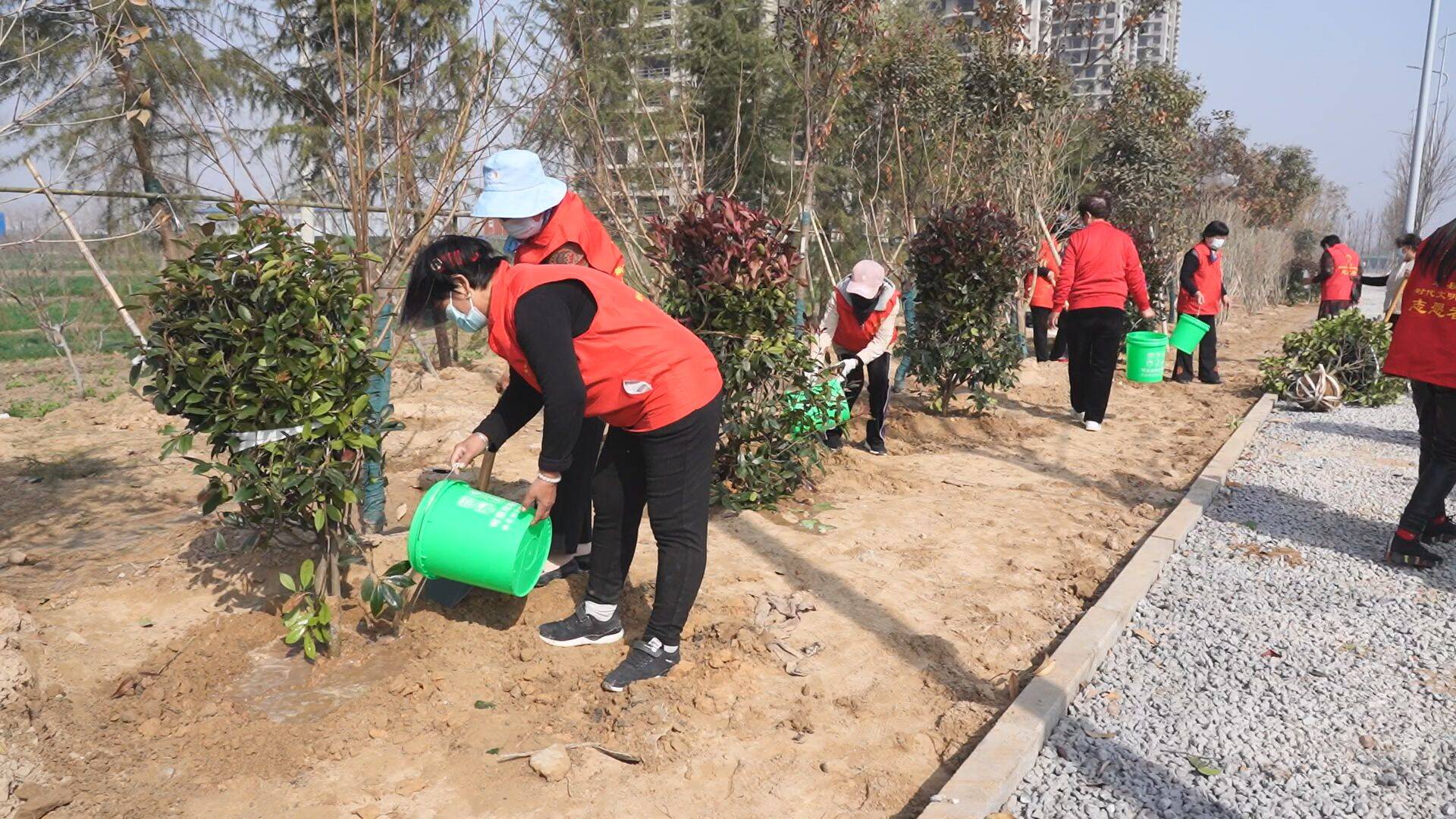 单县拆迁园艺街道在哪(单县园艺街道服务大厅的电话)