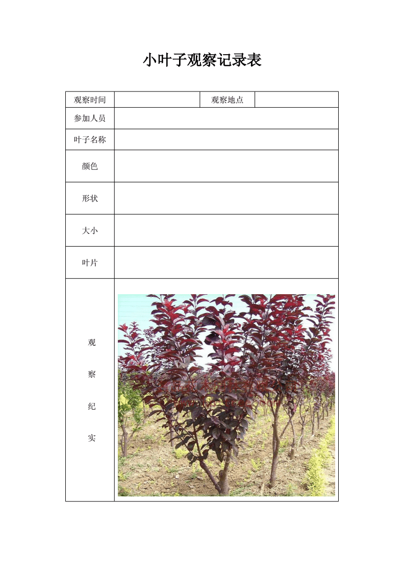 园艺调研报告思考(园艺调研报告思考与建议)