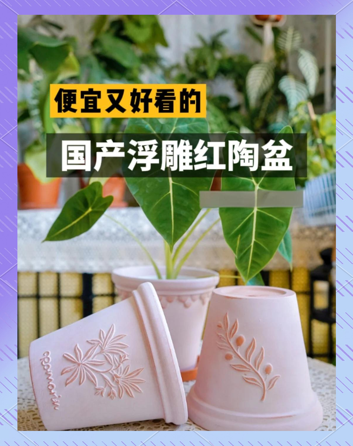 智优园艺花盆价格(智优园艺花盆价格表)