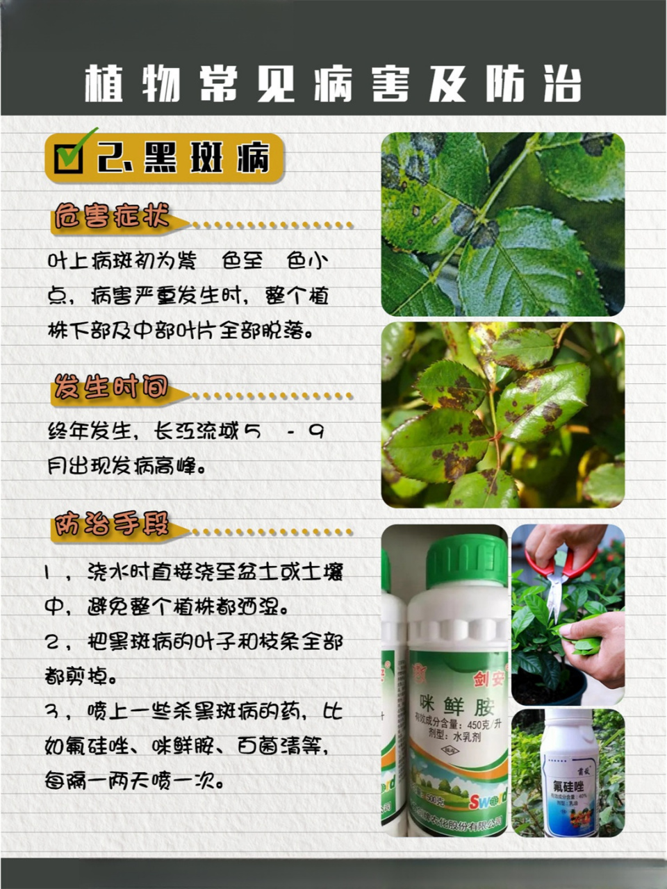 园艺植物病虫害复习资料(园艺植物病虫害防治技术包括哪些内容)