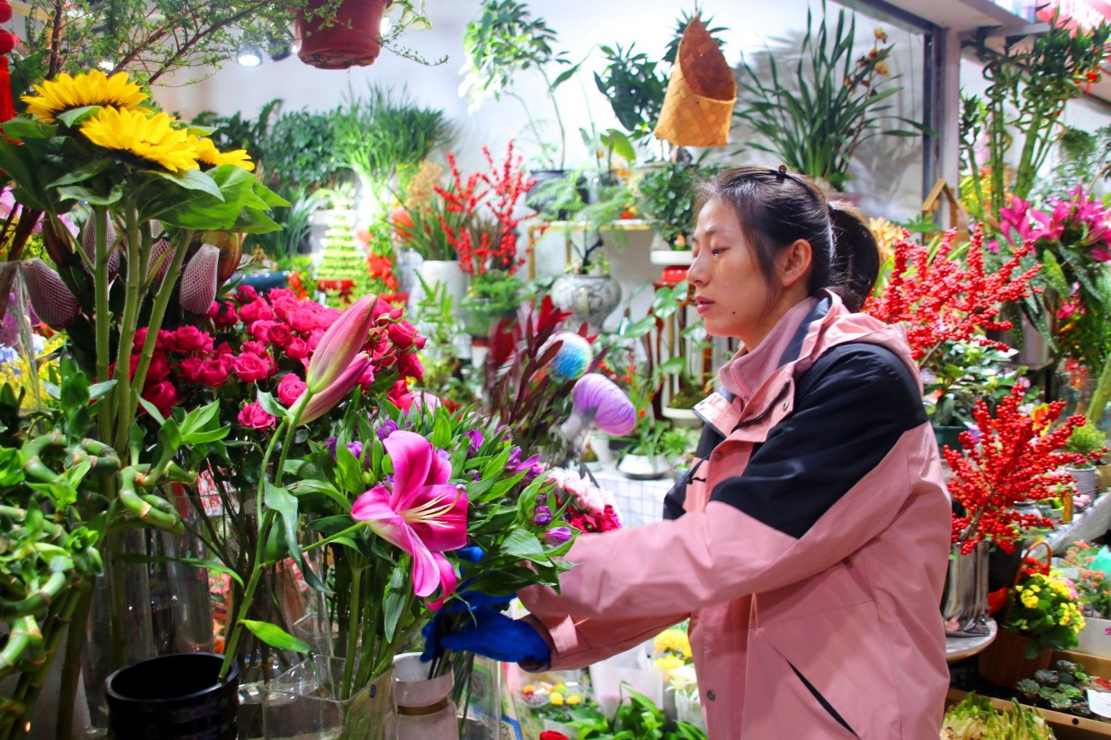 江苏通崴花卉园艺(花卉园艺师报考条件)