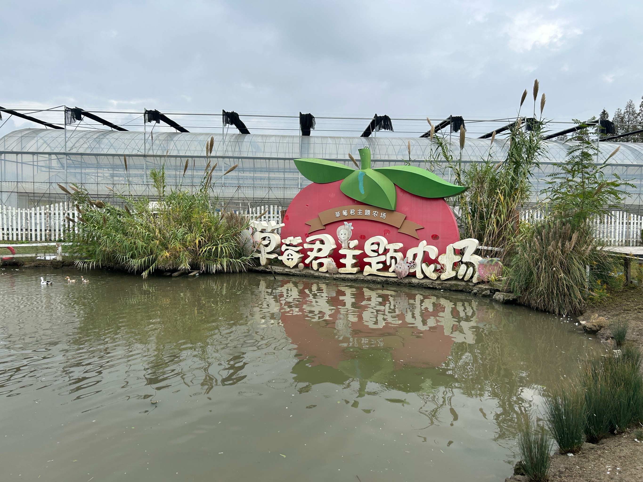 西郊园艺草莓基地地址(大连西郊园艺超市还开吗)