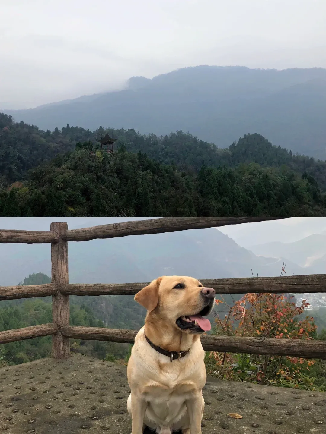 绵阳园艺山爬山(绵阳园艺山有啥子耍的)