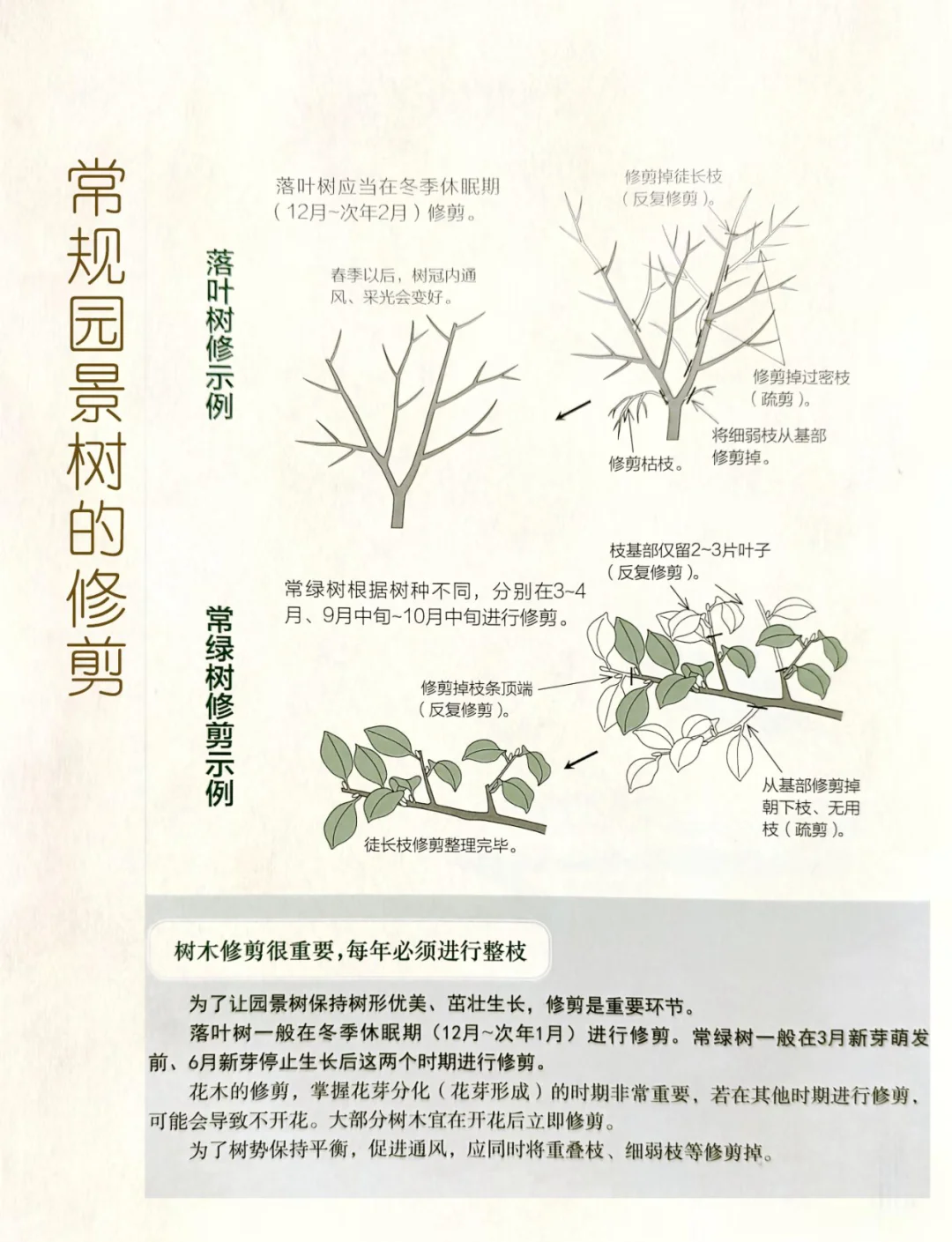 园艺修剪与摘心技术(植物修剪摘心是什么意思)