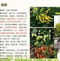 北方园艺刊物等级(北方园艺属于几类期刊)