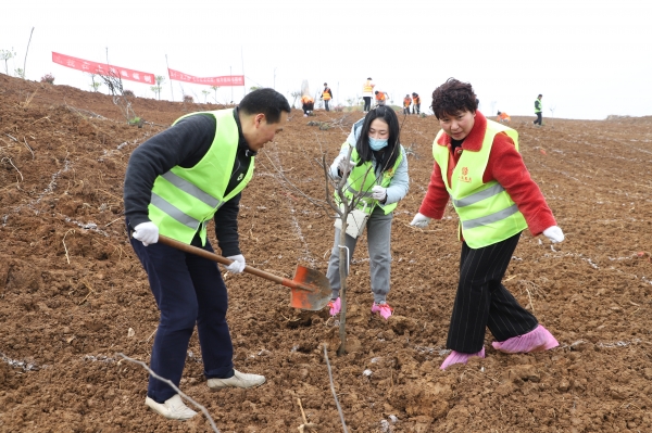 北农园艺罗平简历(免费电子版个人简历)