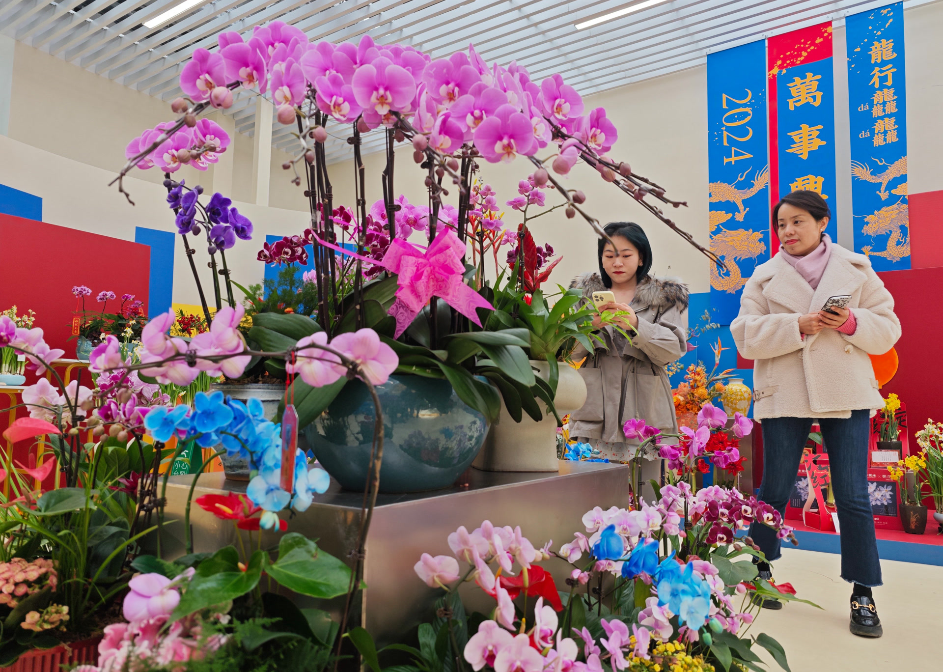 北京花卉园艺花展(北京国际花卉园艺展2020)