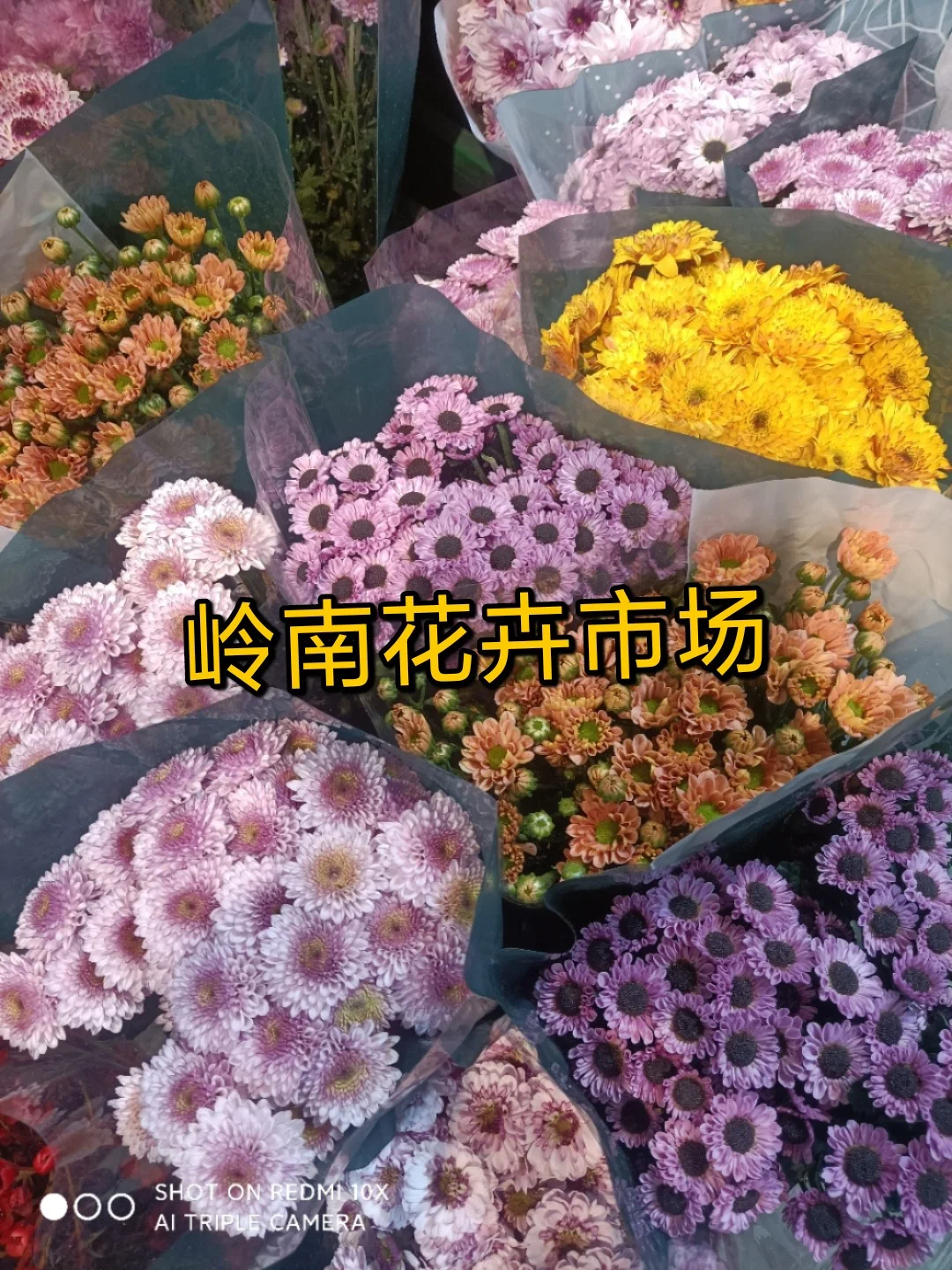 账号定位花卉园艺(花卉市场定位怎么写)