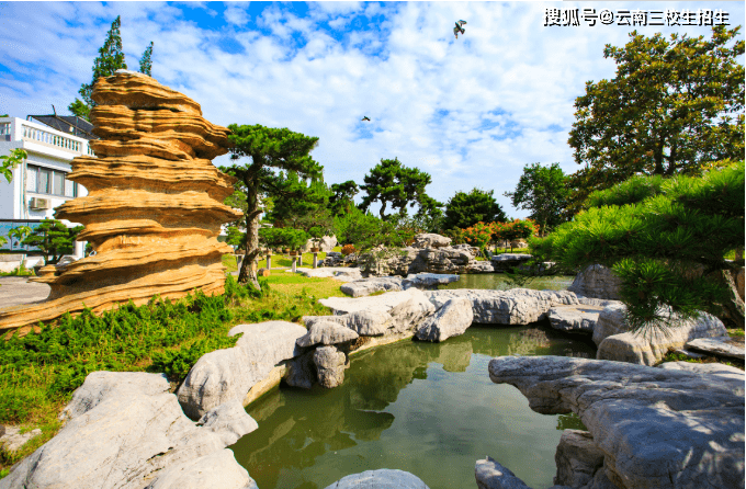 职高园林园艺好吗(职高园林设计专业就业前景)