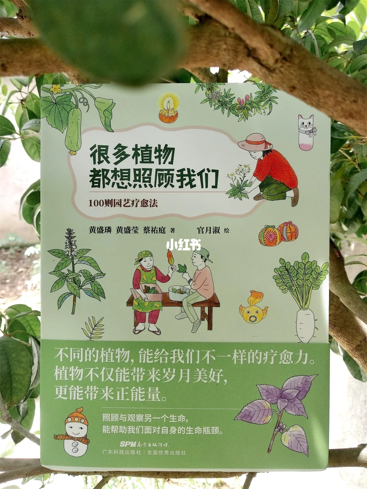 园艺与食品文化的区别(园艺和食品科学与工程哪个好)