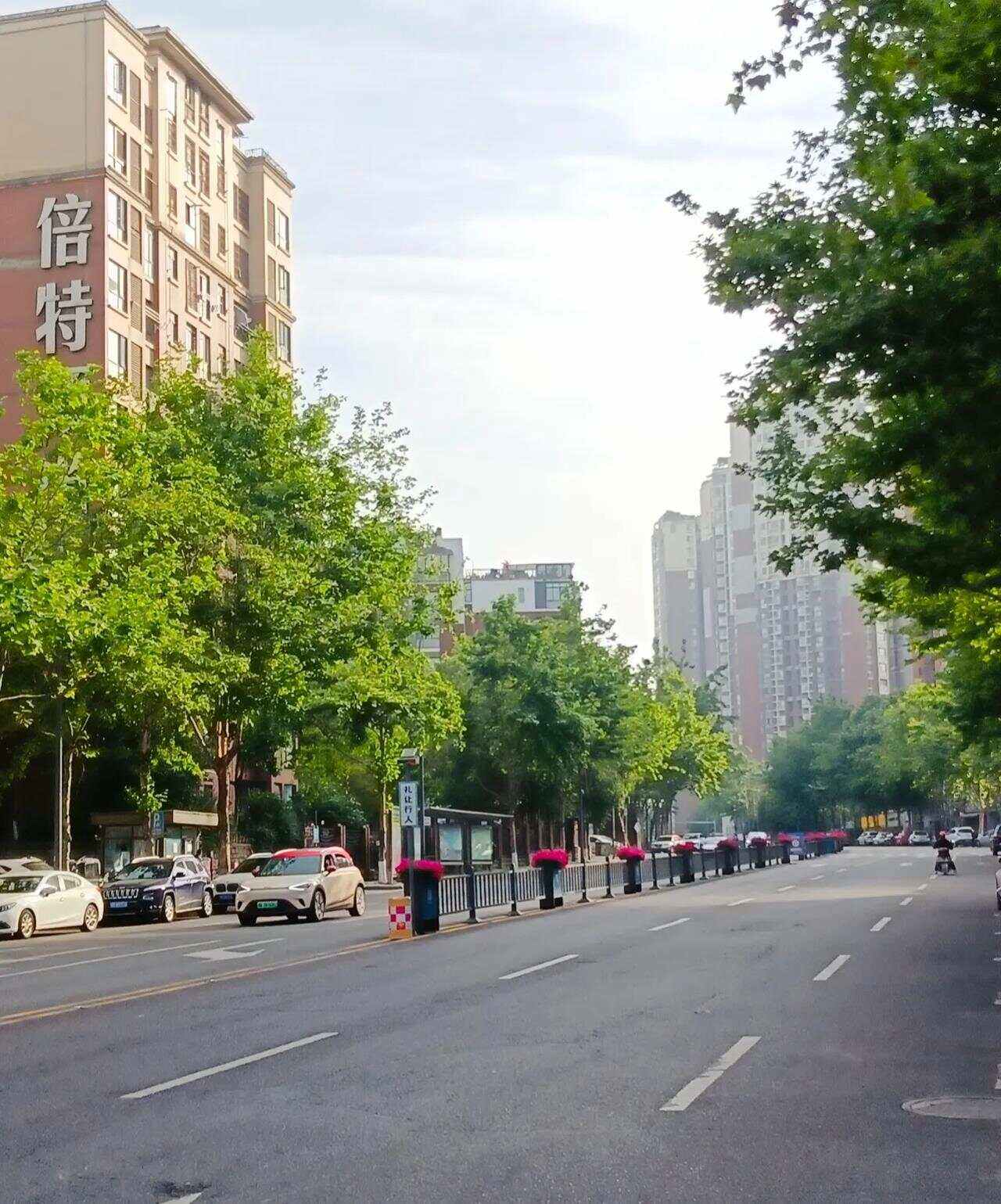 园艺山发展怎么样(园艺山现在中心位置在哪里)