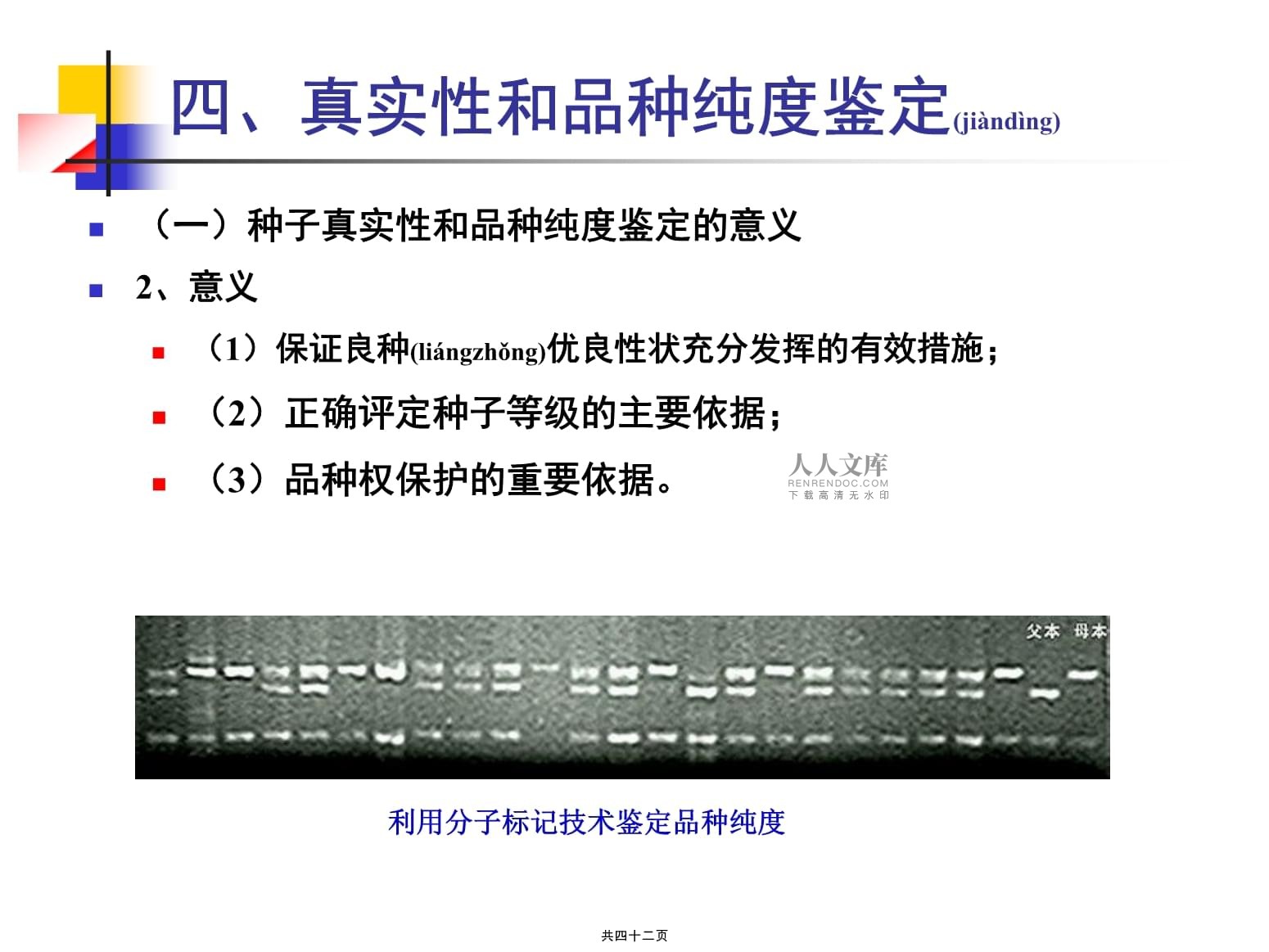 园艺实验原理图片大全(园艺原理与技术实验报告)