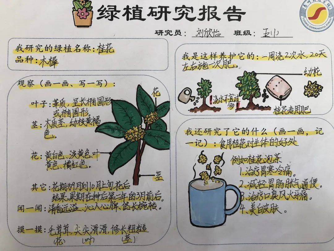 园艺植物的作用论文(园艺植物在人类生活的作用论文)