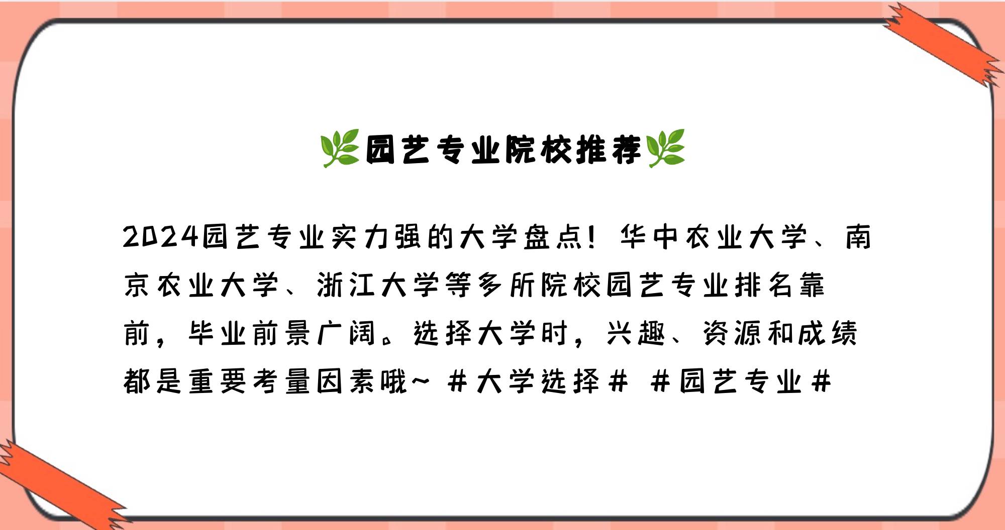 园艺可以考哪些专业(园艺专业可以当什么老师)