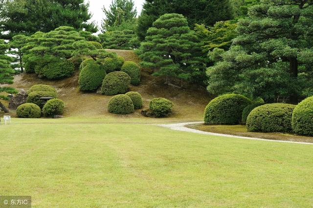 日本园艺研究现状(日本园艺大师有哪些)