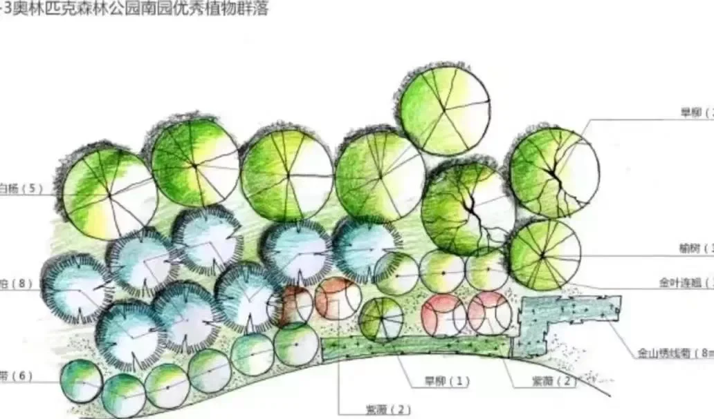 园艺植物生产的规划设计(园艺植物的生产存在什么问题)