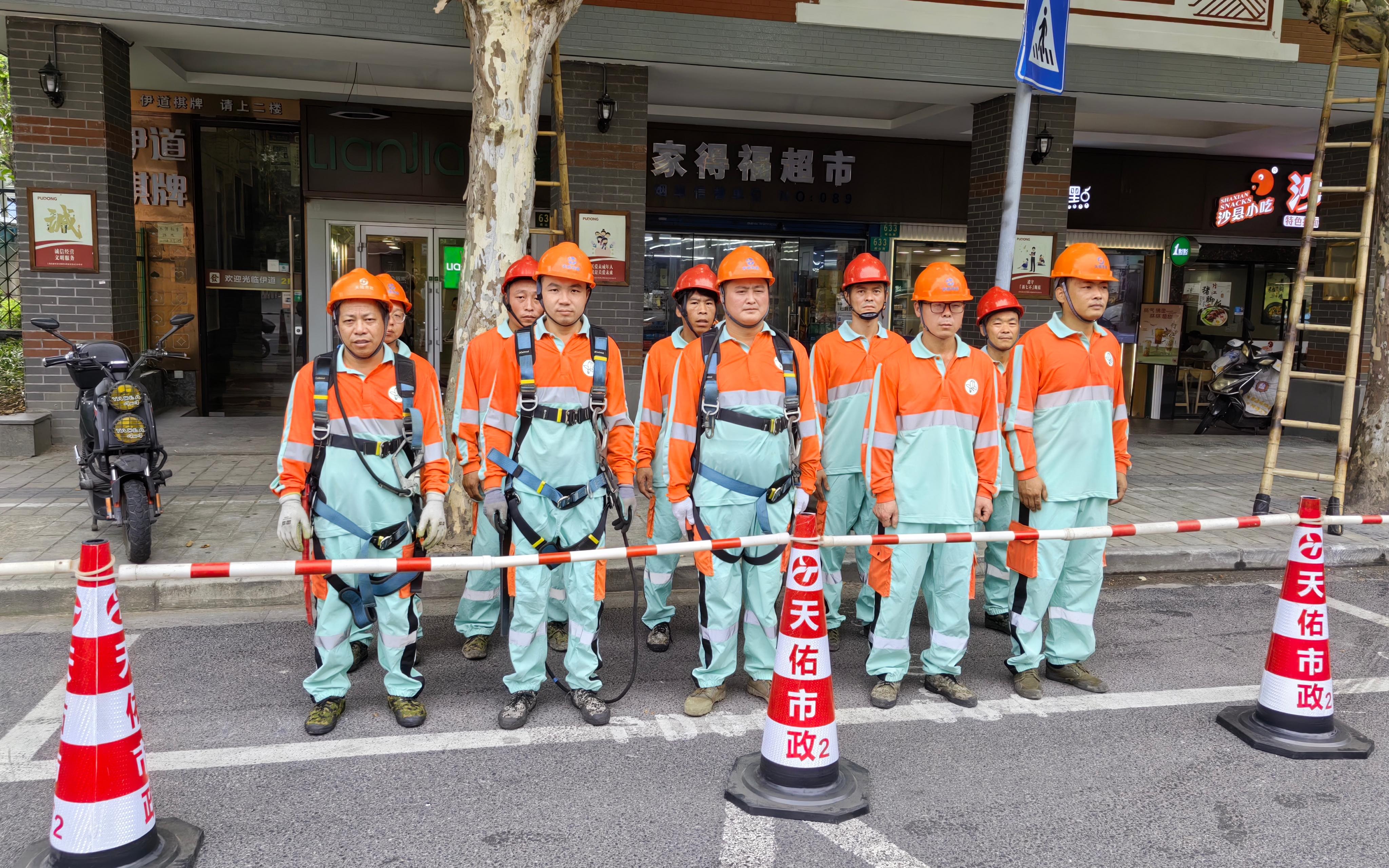 上海璨绿园艺养护(上海璨林包装设计有限公司)