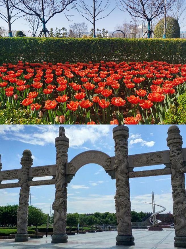 宜都市花海园艺(宜都龚彩霞与庄光明)