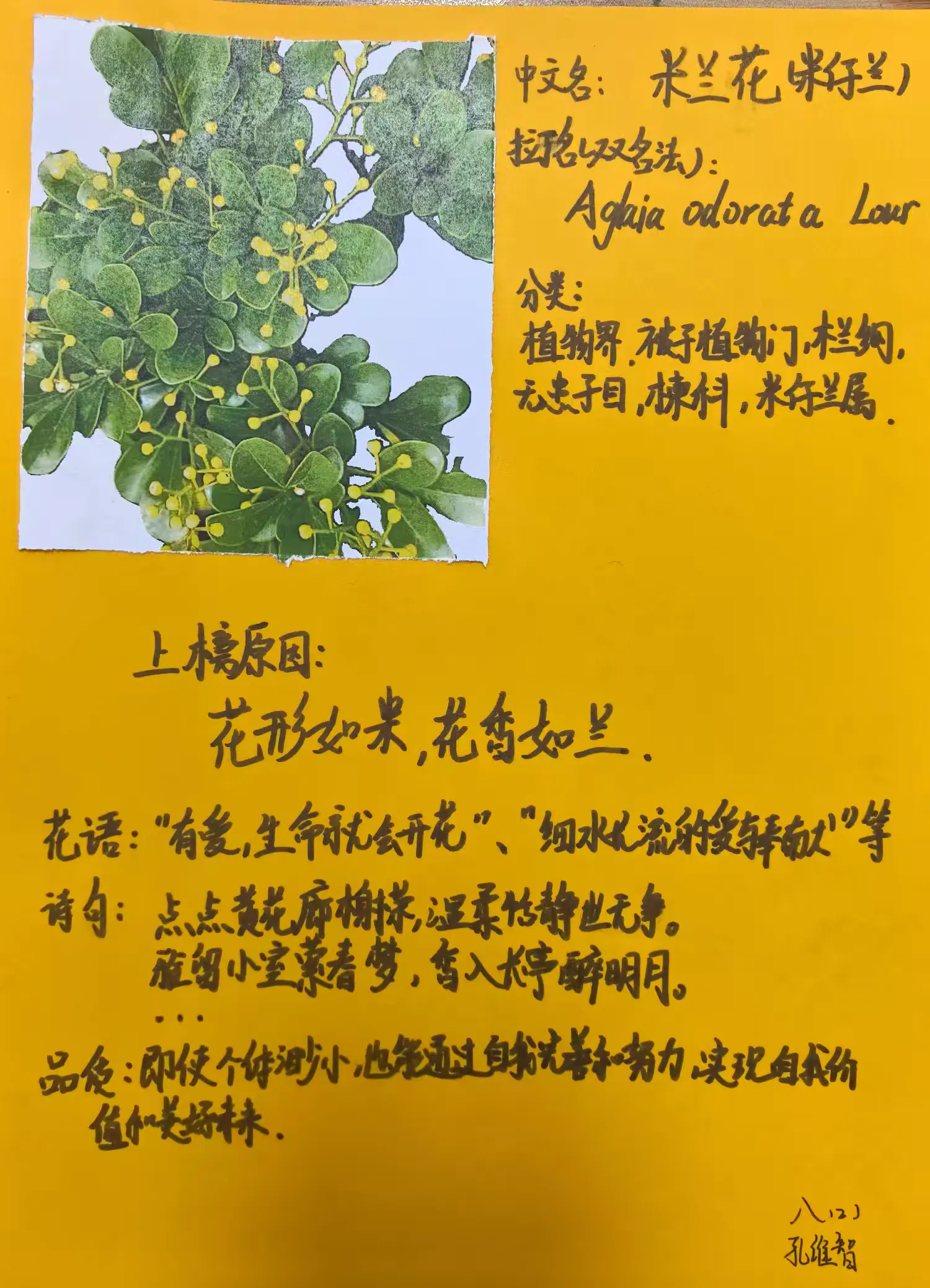 园艺花卉种植科普(园艺植物的种植方法)