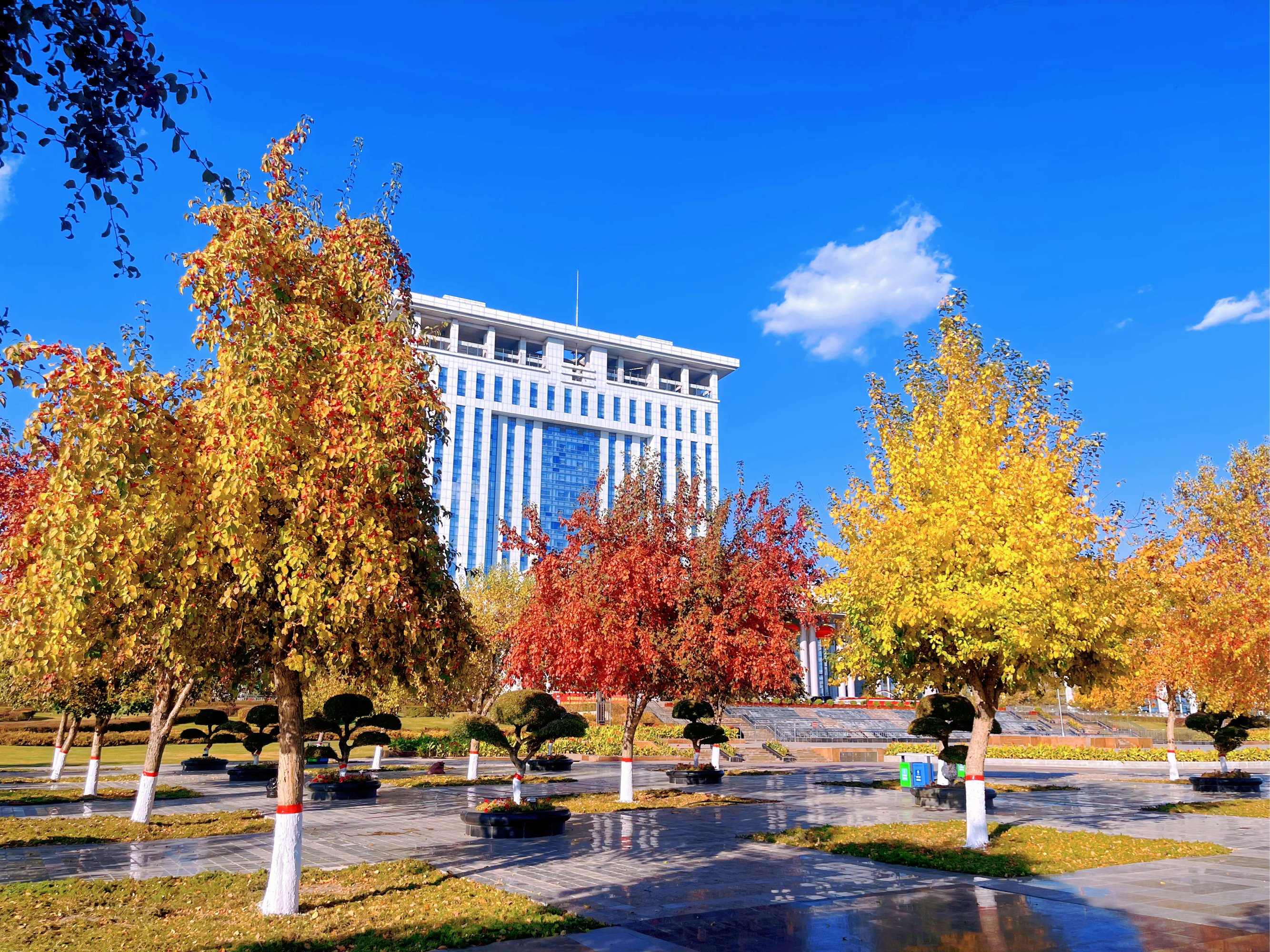 园艺园区大学城(大学城园区要划到新区吗)