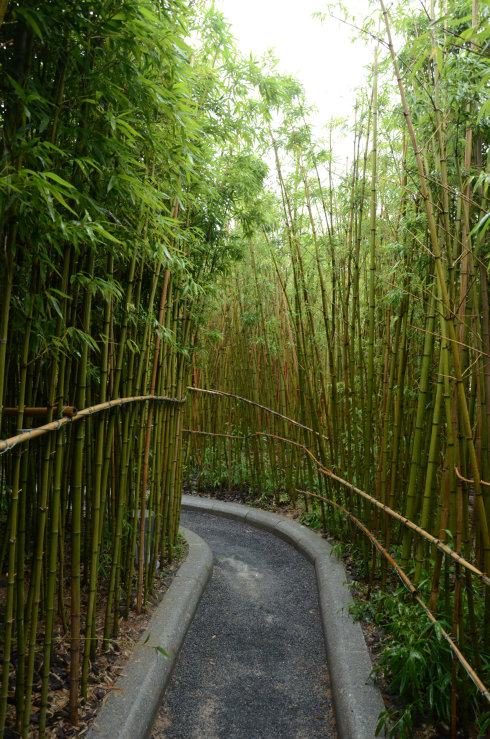 世纪奥桥园艺中心(世纪奥桥花卉绿植店在哪里)