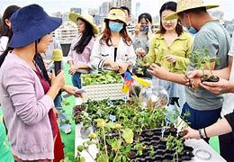 泉珍谷香园艺农场(泉珍谷香园艺农场电话)