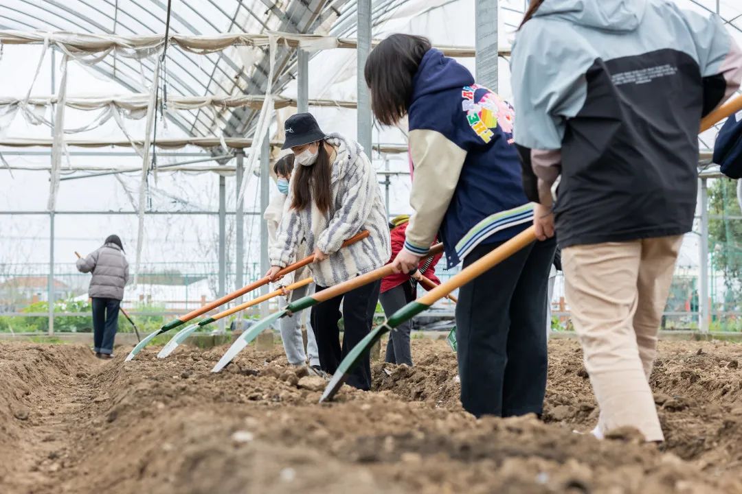 柘城县安泰园艺有限公司(柘城县安泰园艺有限公司招聘)