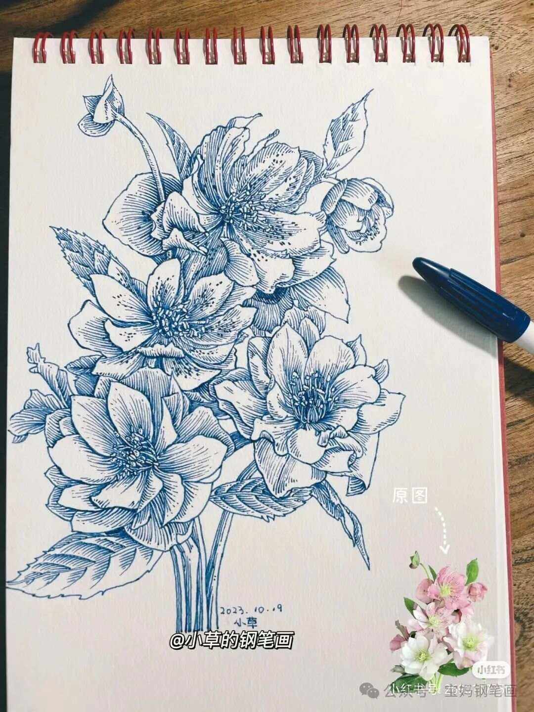 园艺花卉线描动物(园艺花卉线描动物图片)