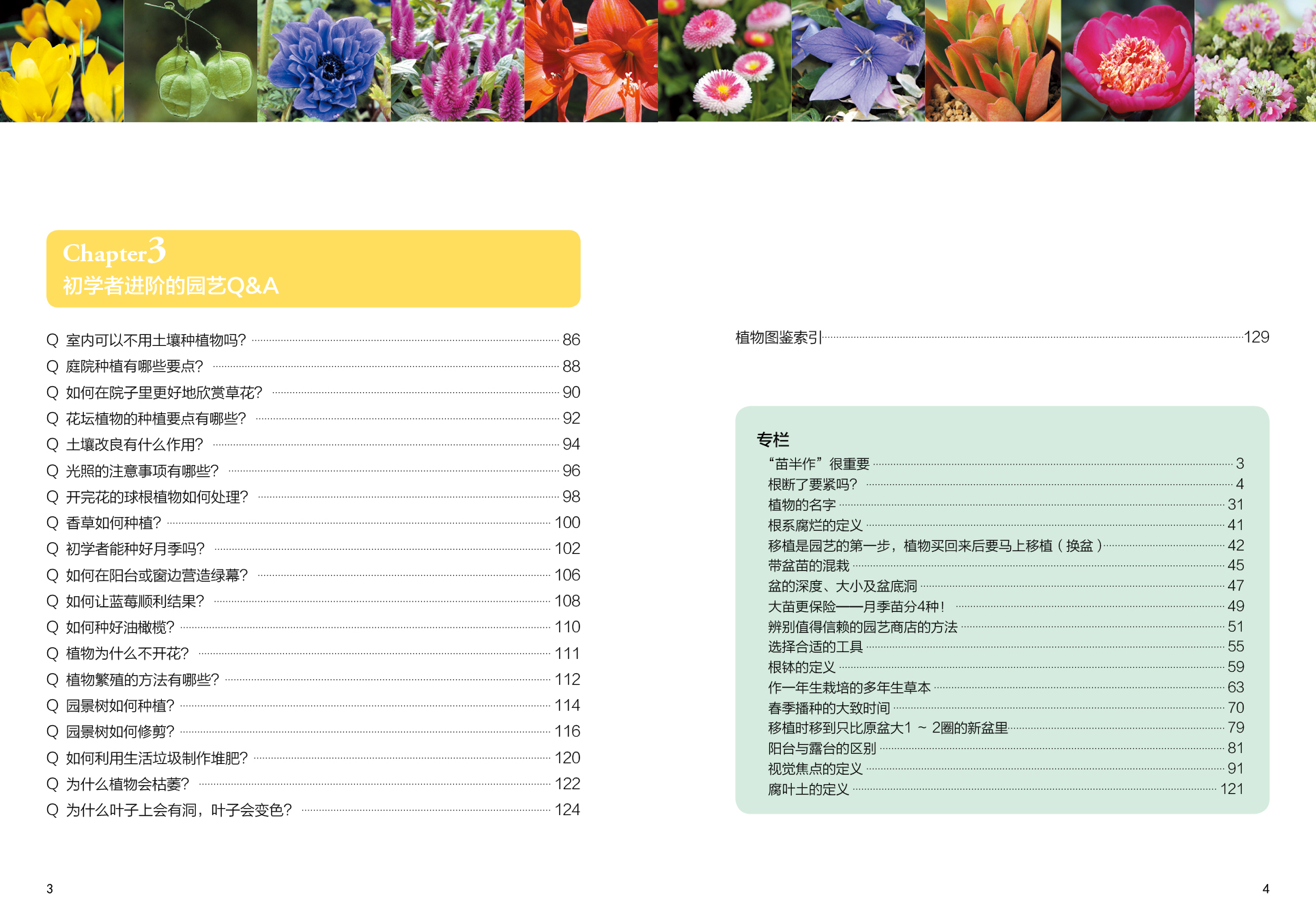 单招园艺技术相关知识(单招园艺技术相关知识有哪些)