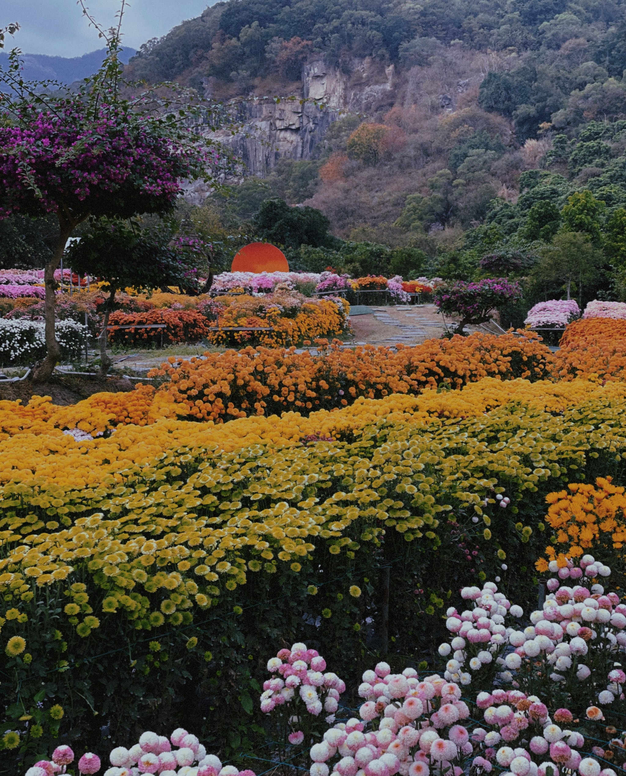 泉州鲜花港园艺公司(泉州鲜花港几月份去有花看)