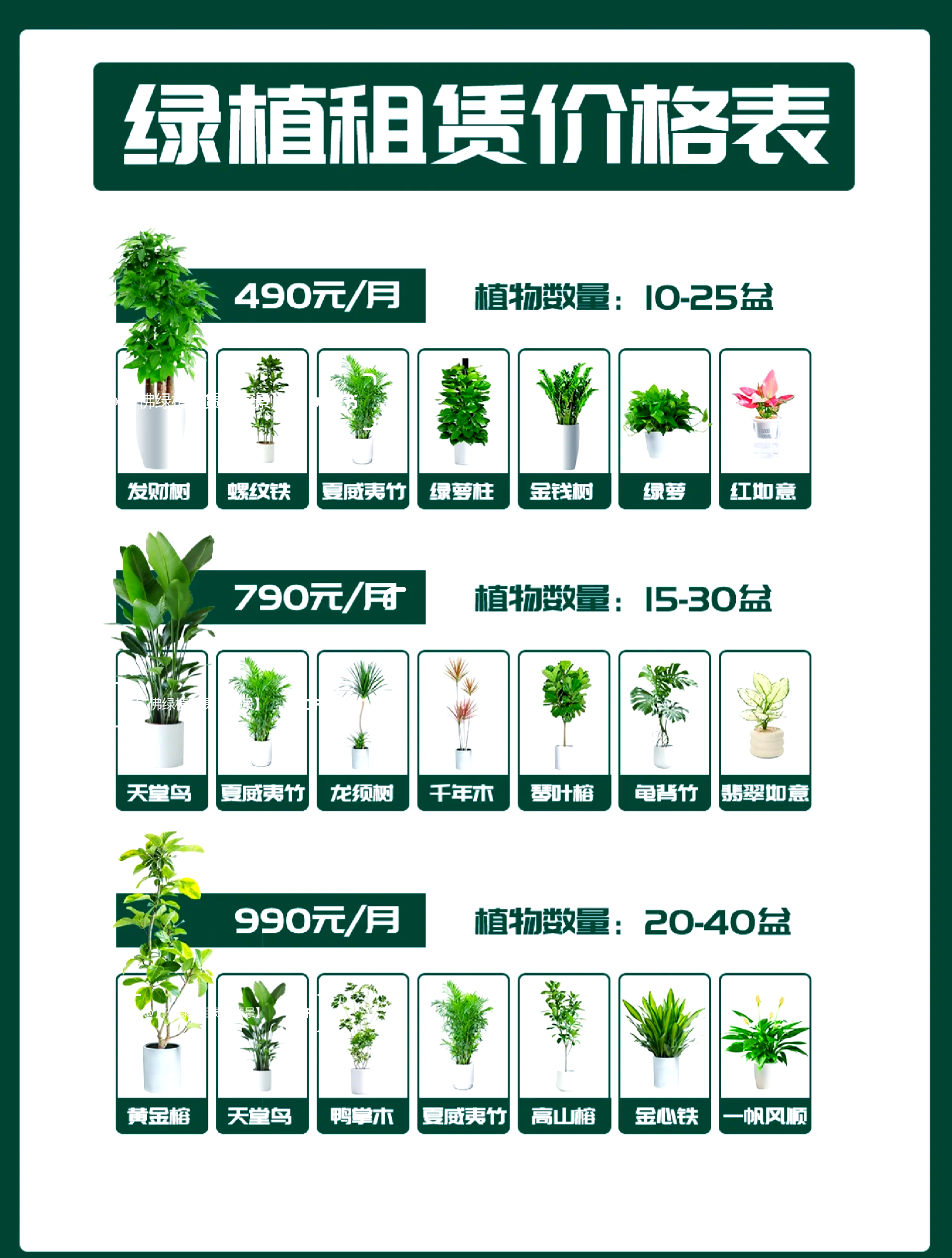 绿植园艺公司排名(绿植园艺排名第一的品牌)