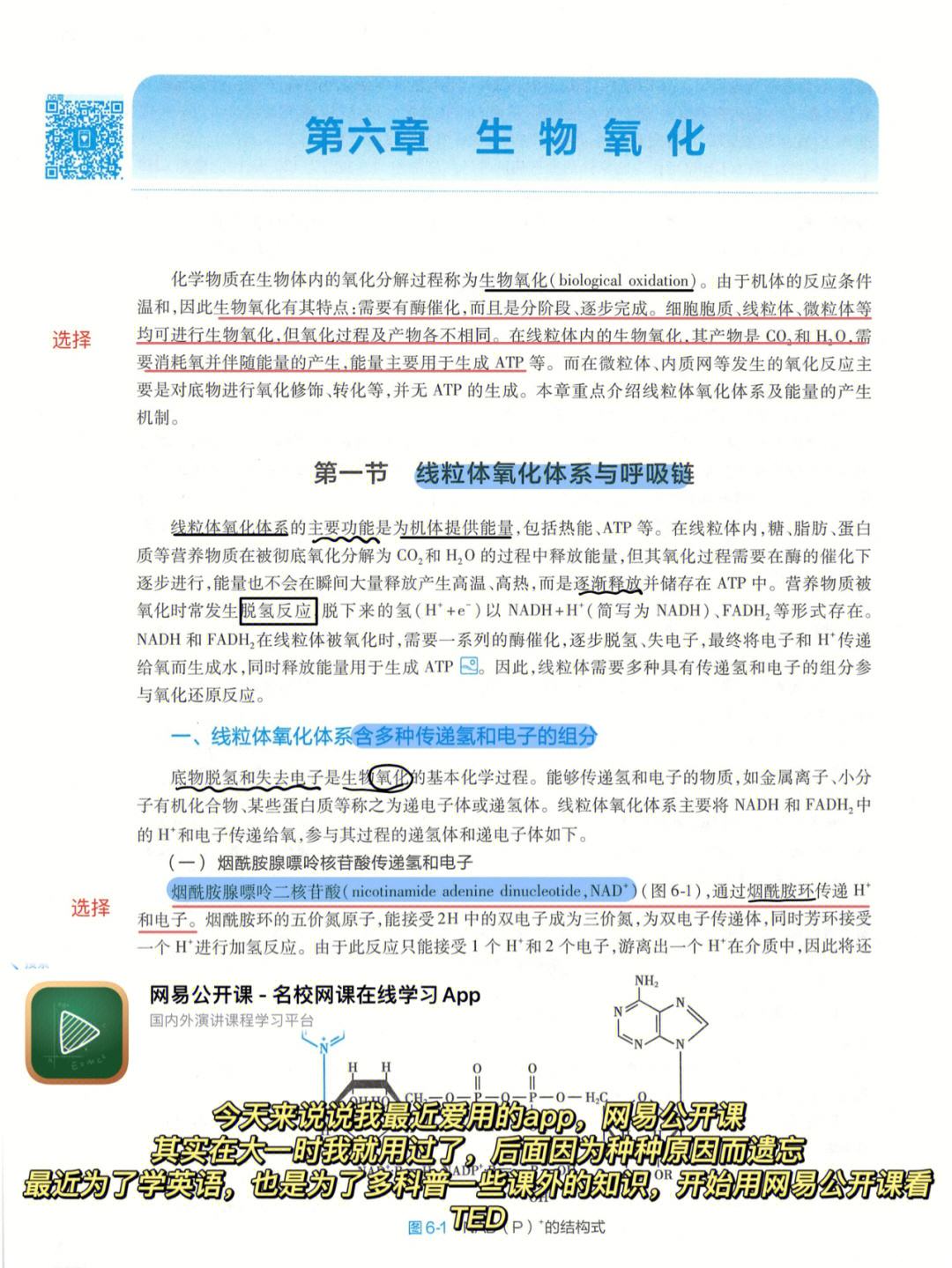 园艺生物化学b版(生物化学与园艺专业的关系及其应用)