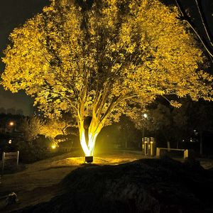 防水园艺射灯室外(室外防水射灯图片大全)