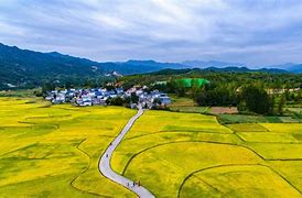 鲁山县盈博园艺(博山区盈鑫职业培训学校)