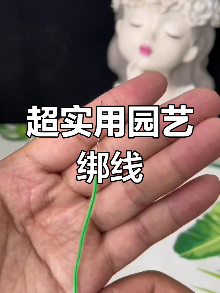 园艺鱼骨刺扎带(鱼骨刺针织圈怎样织)