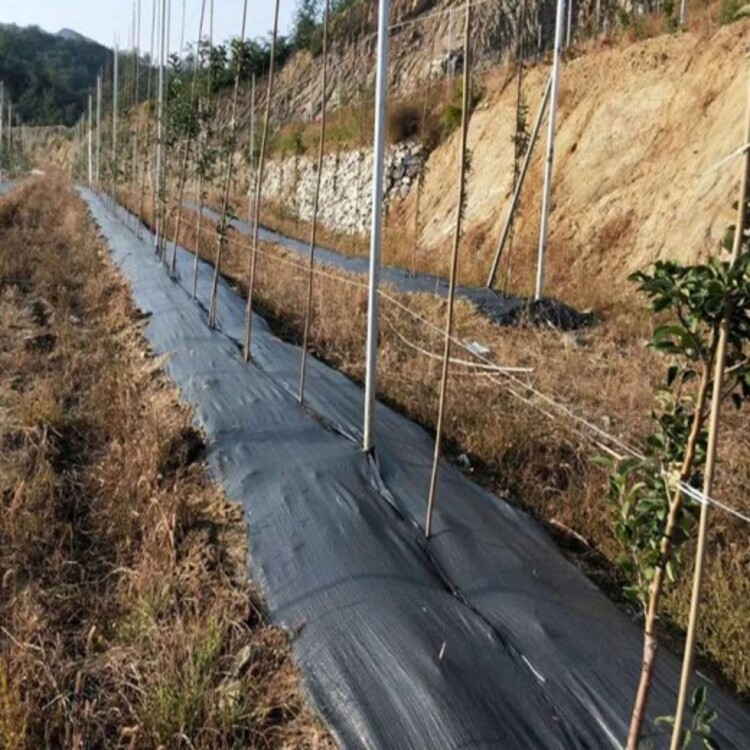 汕头园艺地布的寿命(园艺地布和防草布有什么区别)