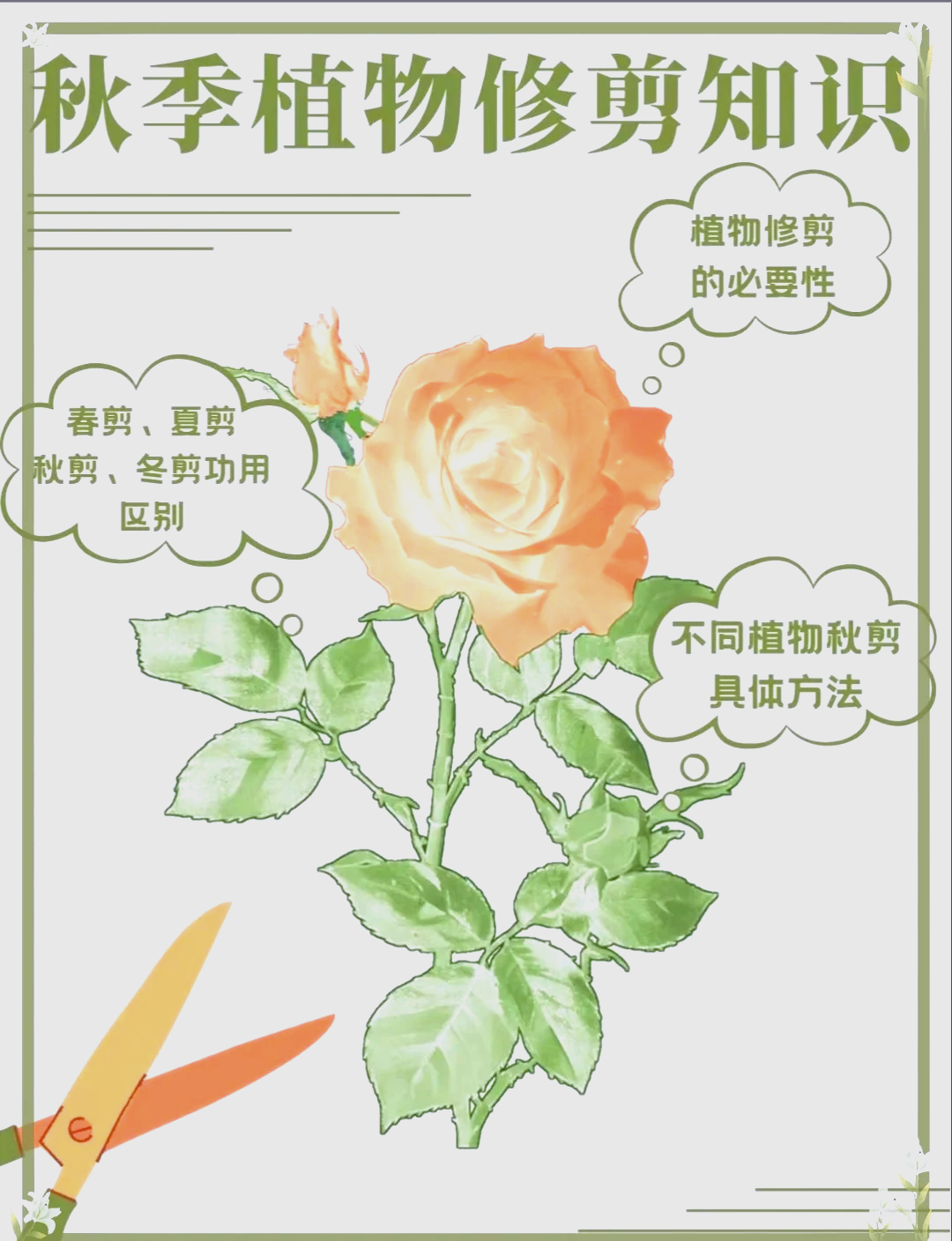 花木园艺修剪方法图解(花木园艺修剪方法图解大全)