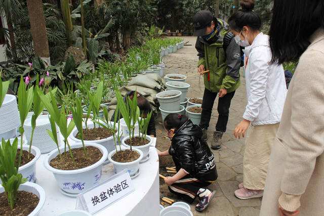 园艺花卉科普课堂实录(园艺花卉科普课堂实录视频)