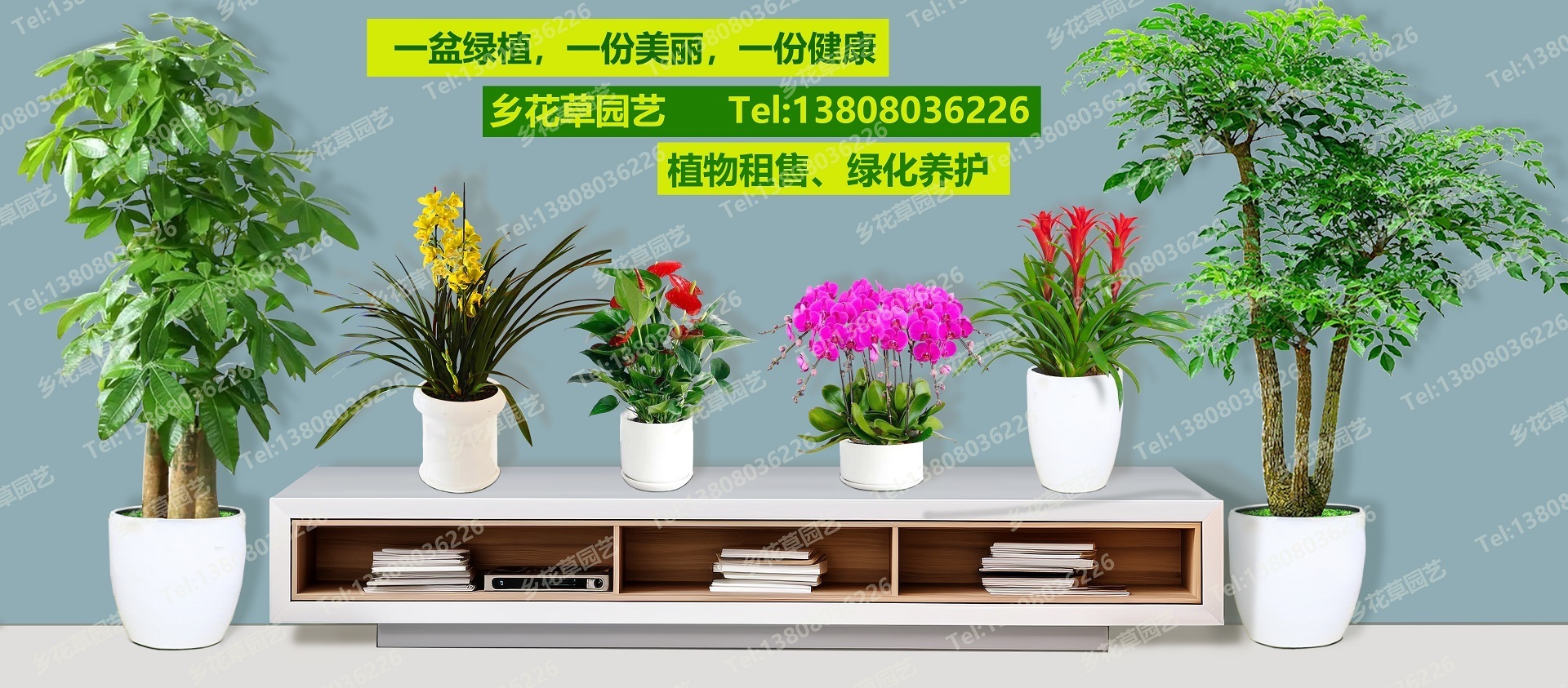 工业风花草园艺(中国十大园艺公司)