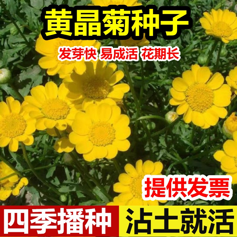 花卉是园林还是园艺(花卉和园林花卉的区别)