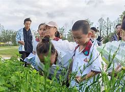 怎么转行当园艺师(如何成为园艺设计师)