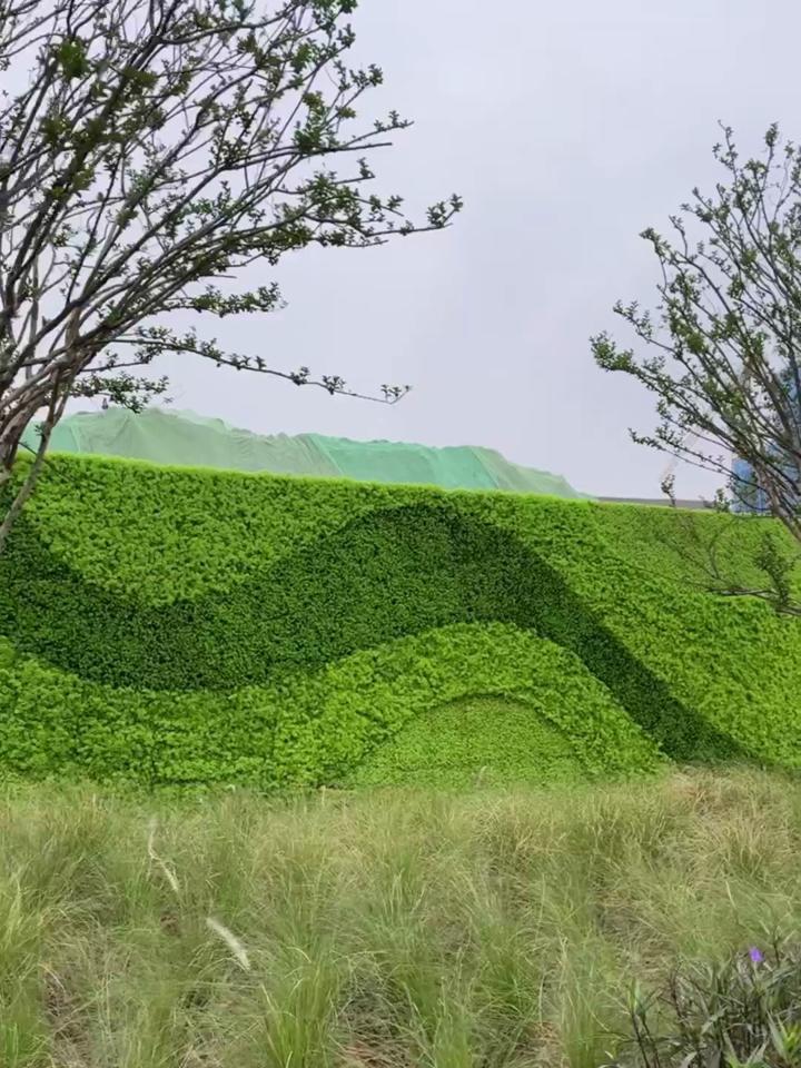 垂直园艺种植方法(垂直绿化植物种植模式)