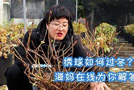 园艺大师怎么过冬(采访园艺叔叔树木是怎么过冬的)